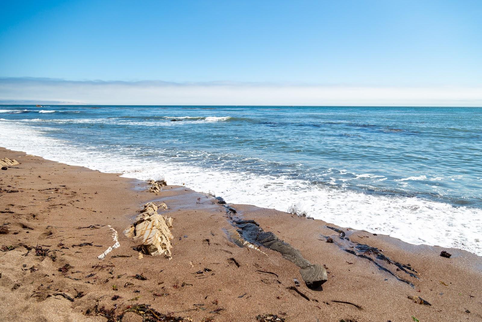 Sandee Vista Del Mar Beach