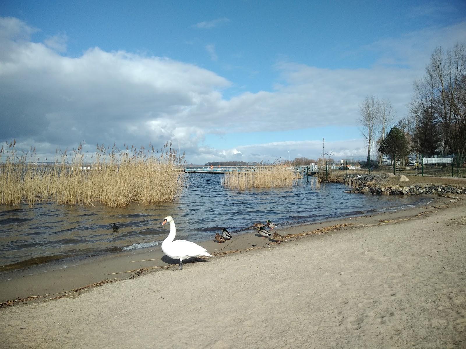 Sandee - HomePage / Wielkopolskie