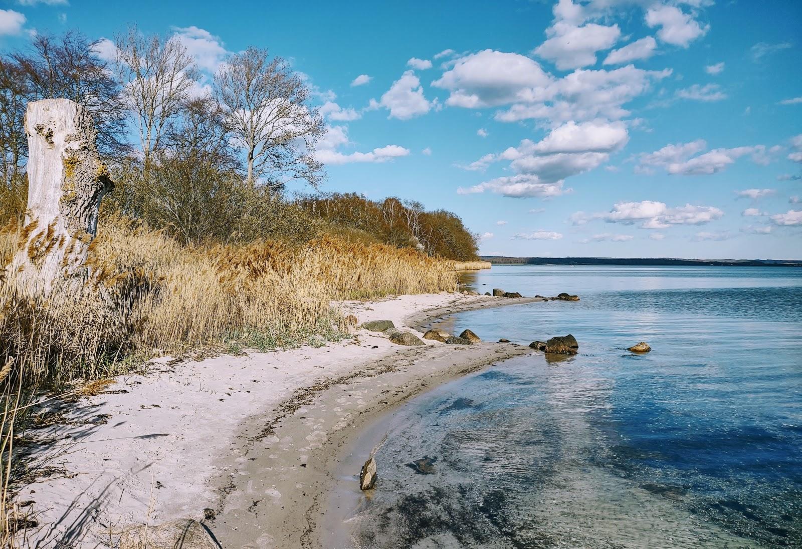 Sandee Løgismose Strand