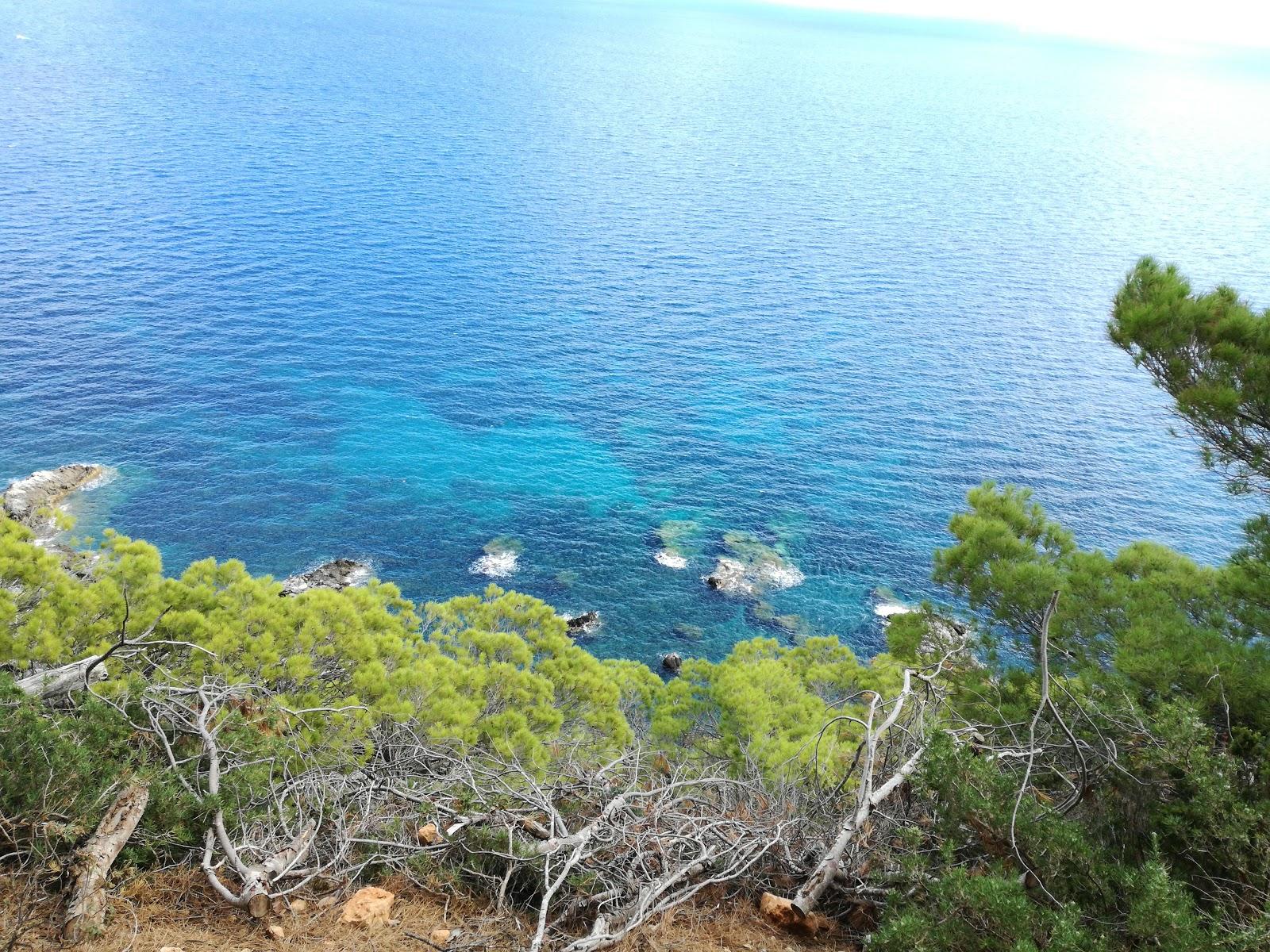 Sandee Praia Di Pigna