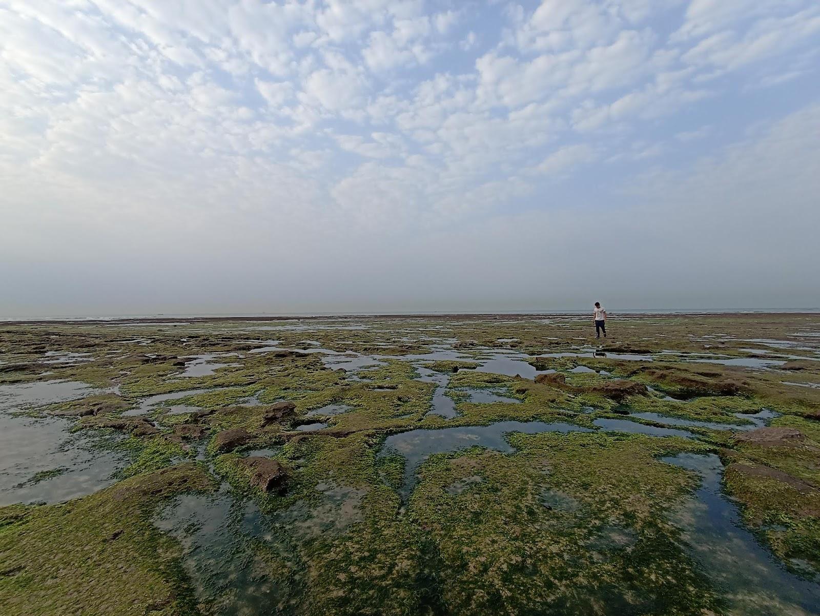 Sandee - HomePage / Mul Dwarka