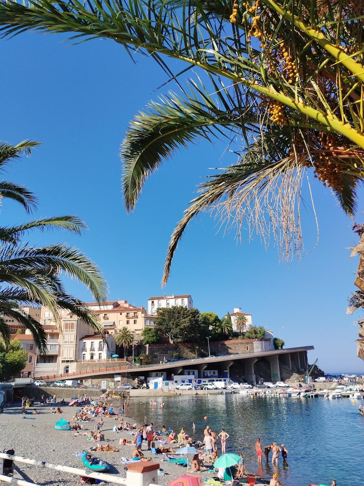 Sandee Plage D'El Saurel