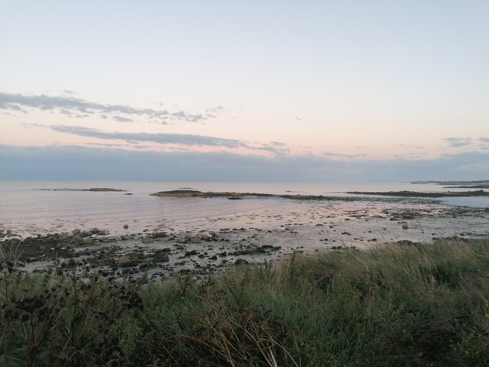 Sandee Ballyvester Beach
