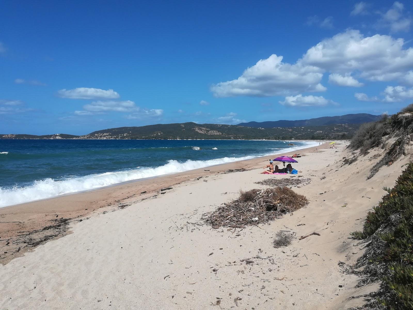 Sandee Plage De Tenutella