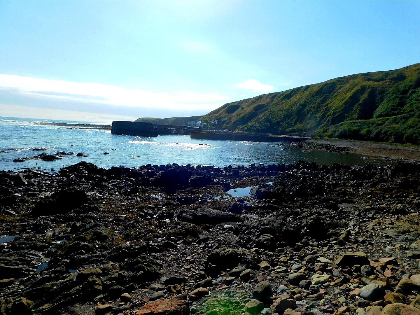 Sandee Burnmouth Beach