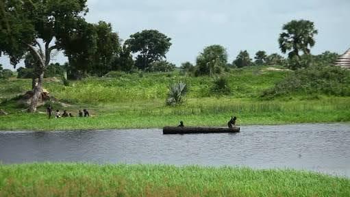 Sandee Sobat River