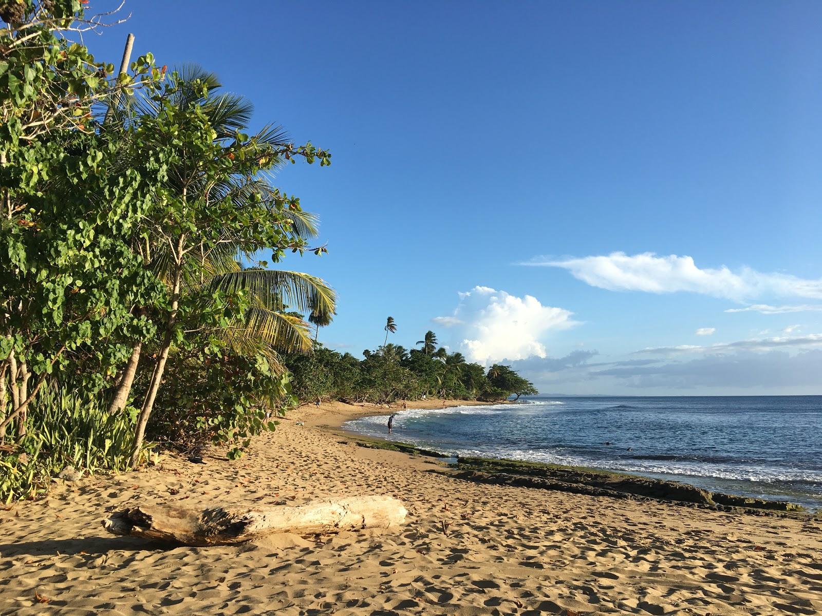 Sandee River Mouth Beach