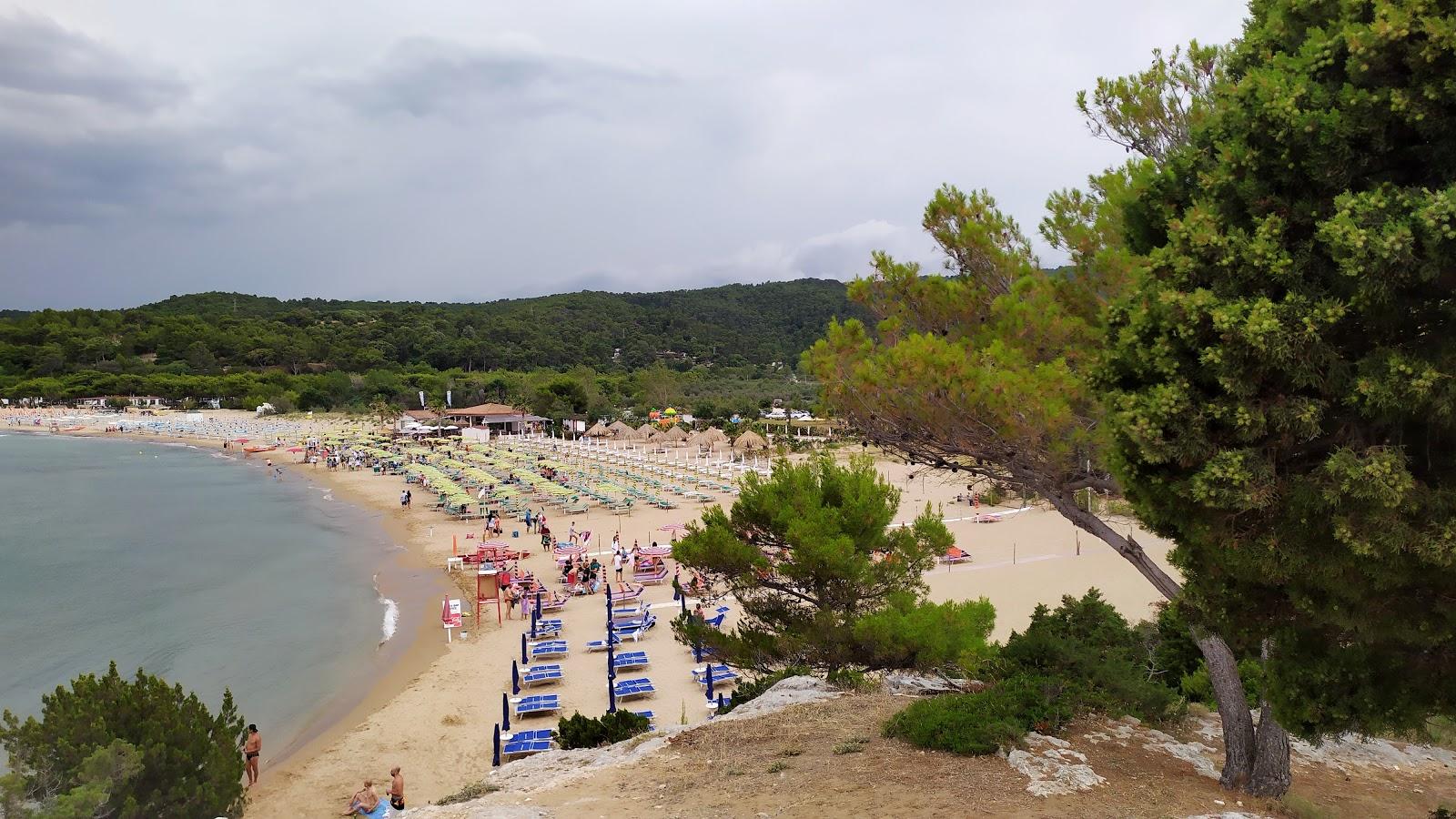 Sandee Spiaggia Di Sfinalicchio