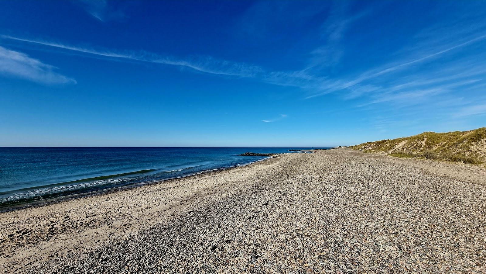 Sandee Højen Strand