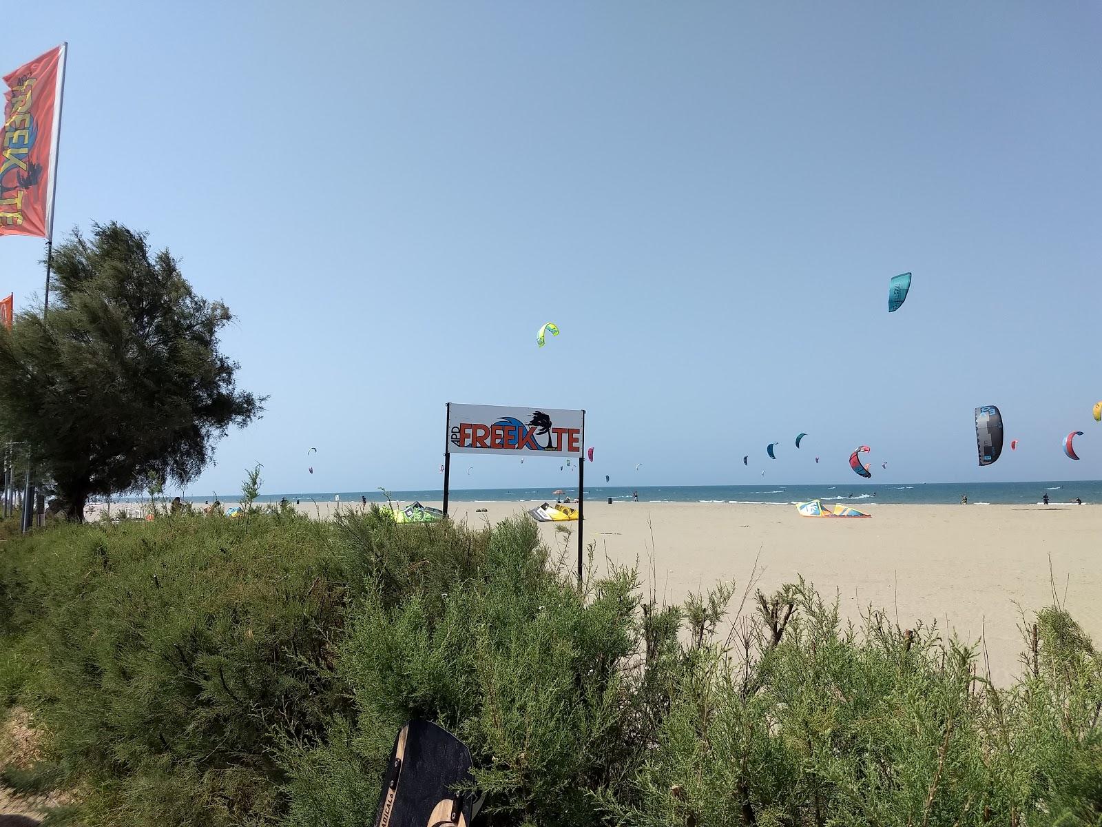 Sandee Freekite Beach