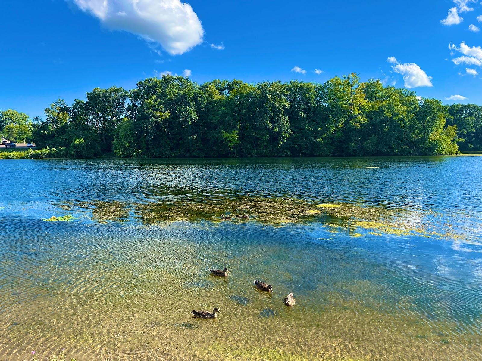 Sandee Newburgh Lake Public Access