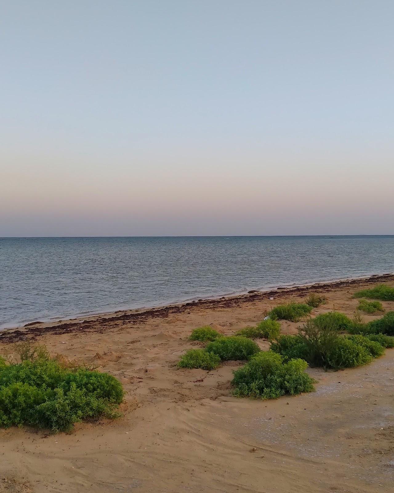 Sandee - HomePage / Red Sea