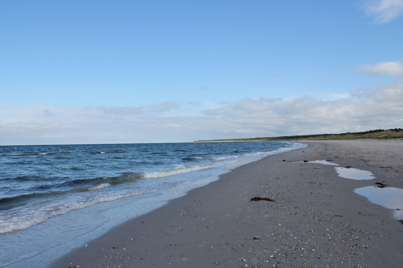 Sandee Rørvig Strand