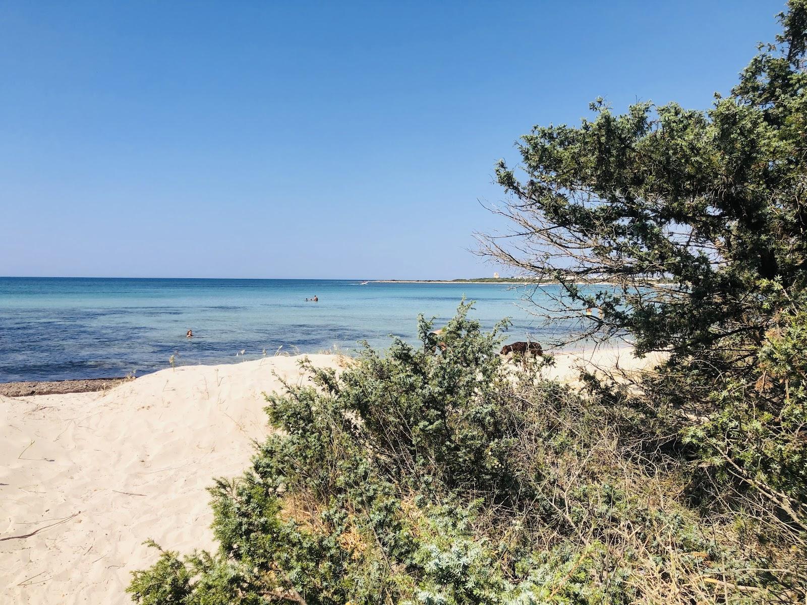 Sandee Spiaggia Della Tenuta Del Conte