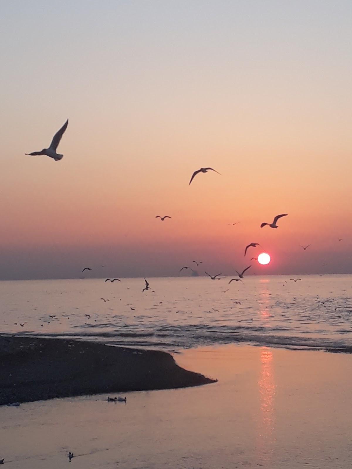 Sandee - HomePage / Viransehir