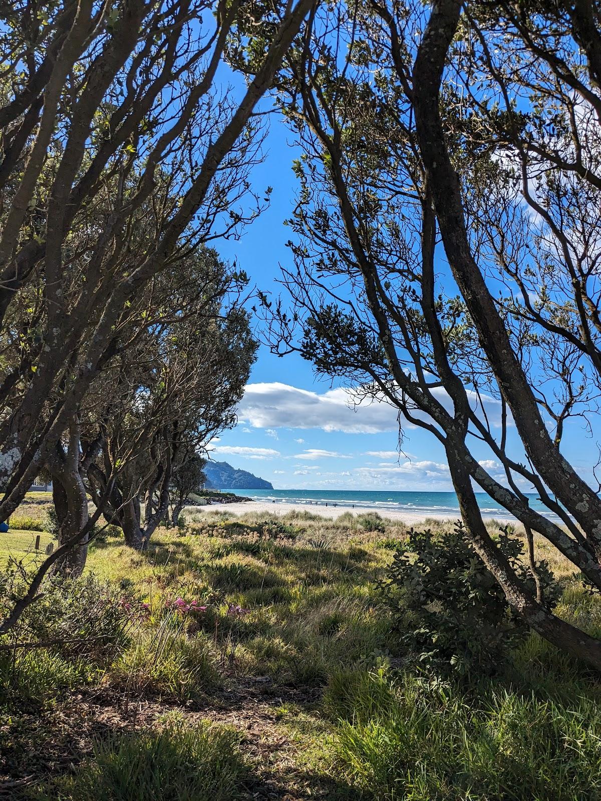 Sandee Seaforth Rd Rec Reserve