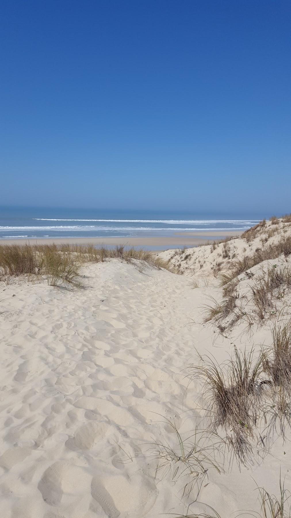 Sandee Le Porge Ocean