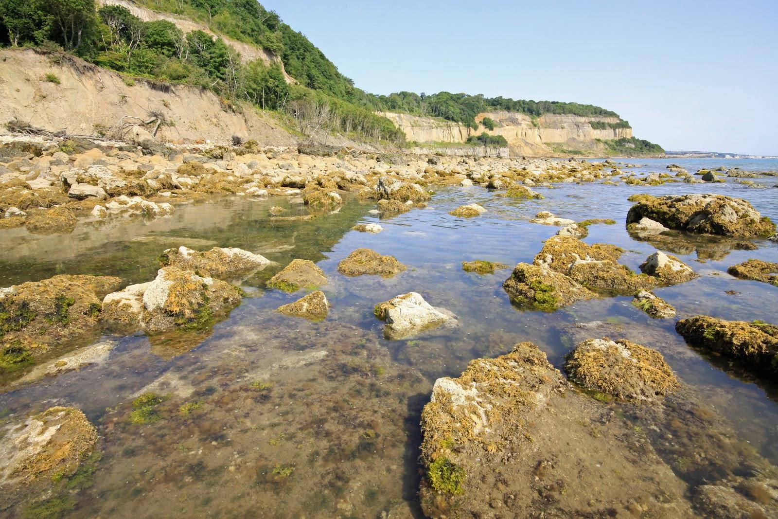 Sandee Luccombe Bay