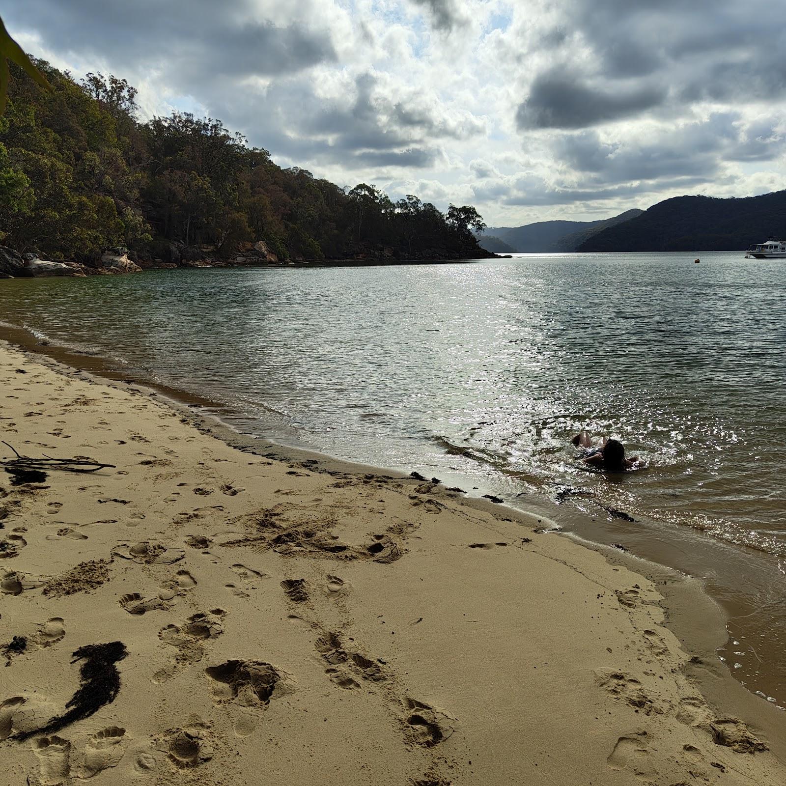 Sandee Hallets Beach