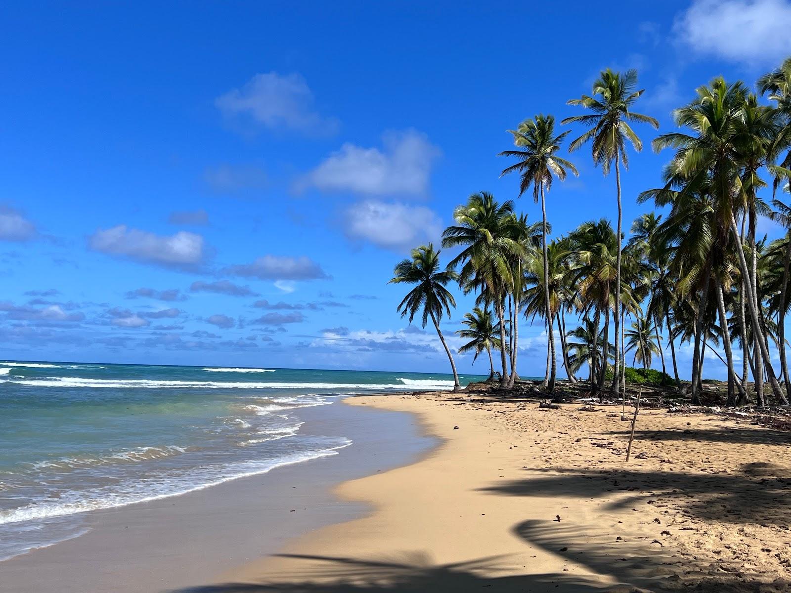 Sandee Puri Beach