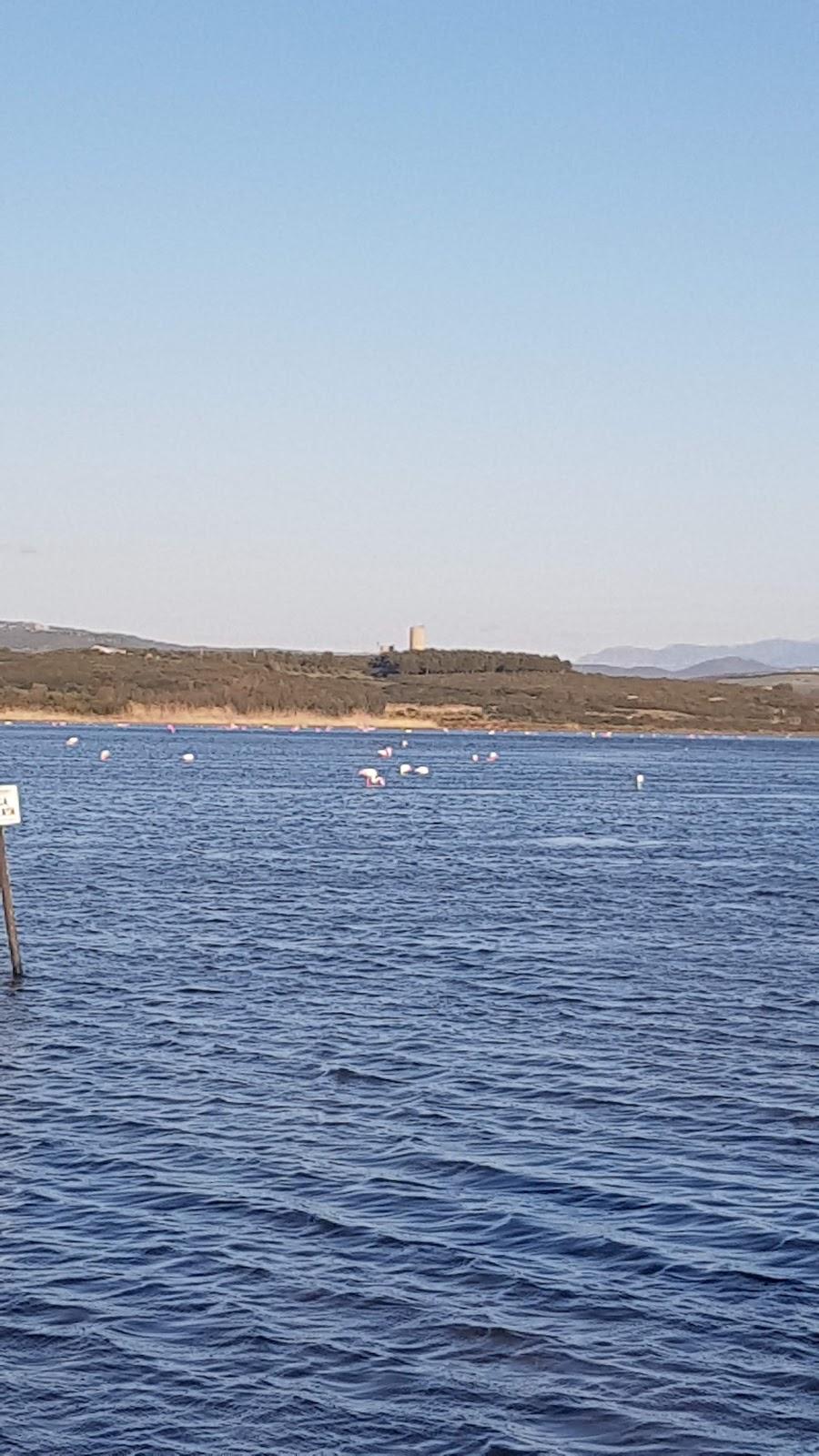 Sandee Sa Punta De S'Aliga