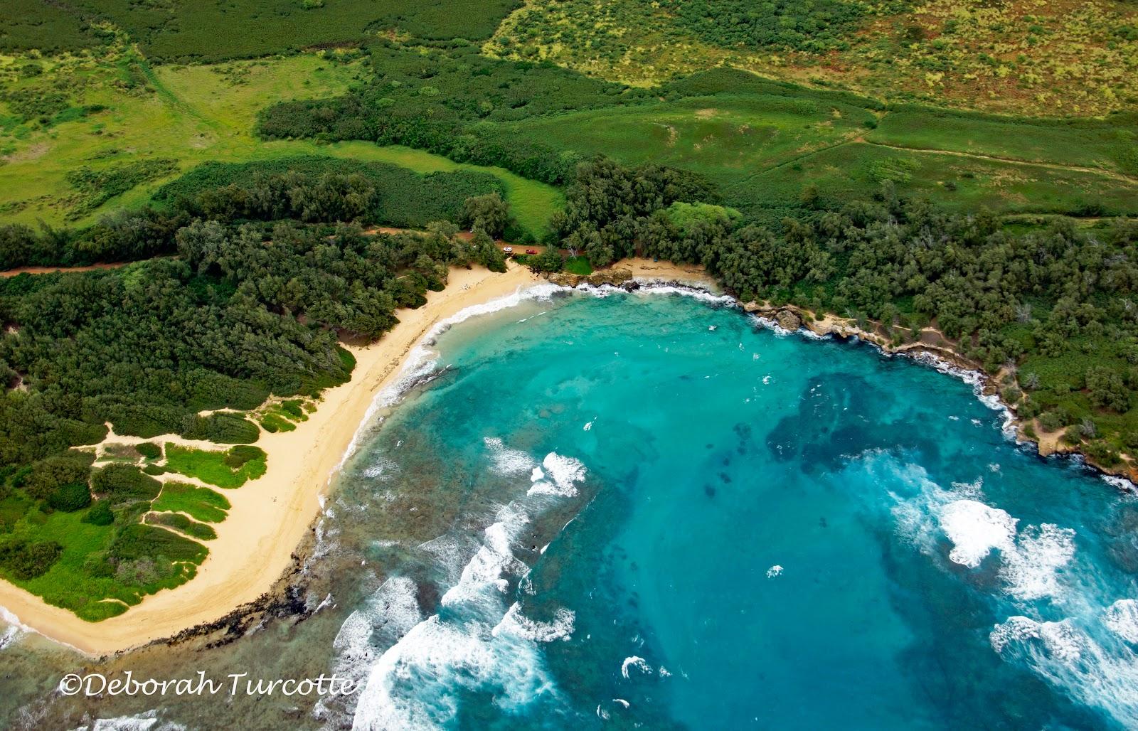 Sandee Kawailoa Bay Beach