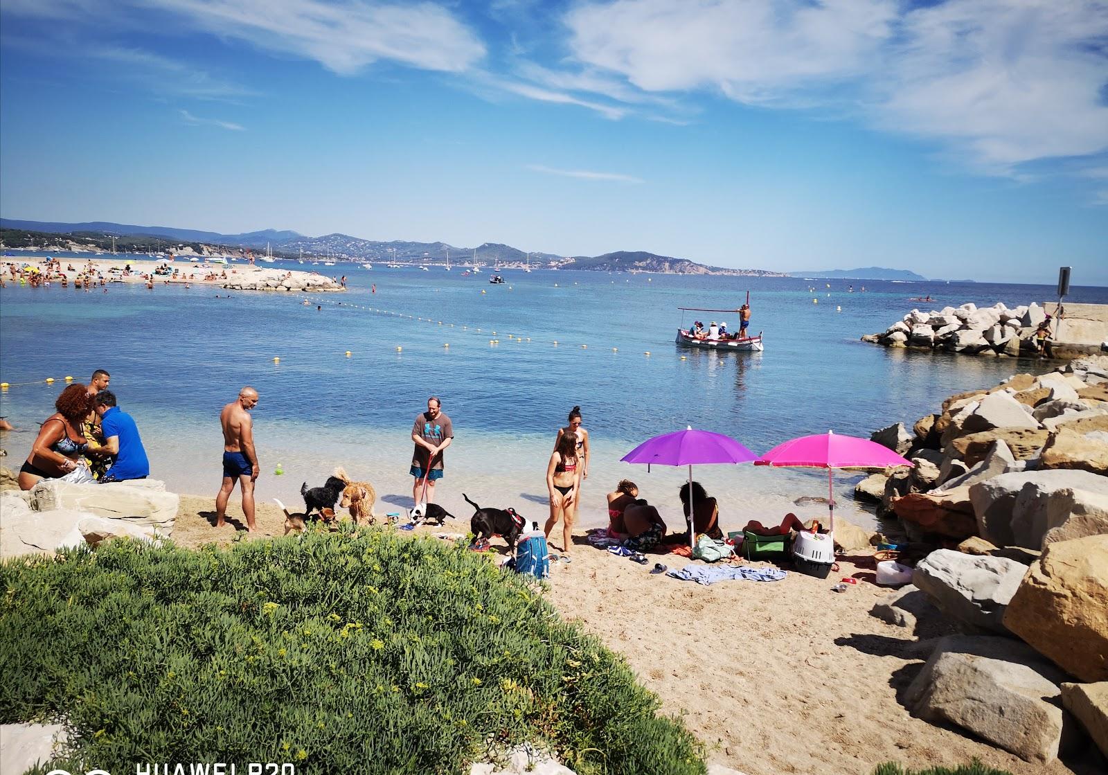 Sandee Plage Pour Chiens