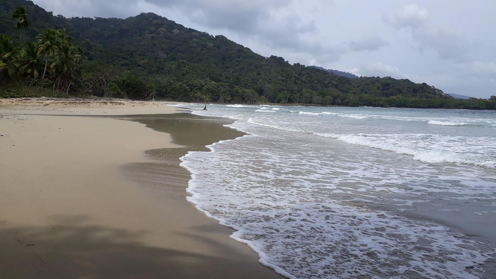 Sandee Playa Amarilla