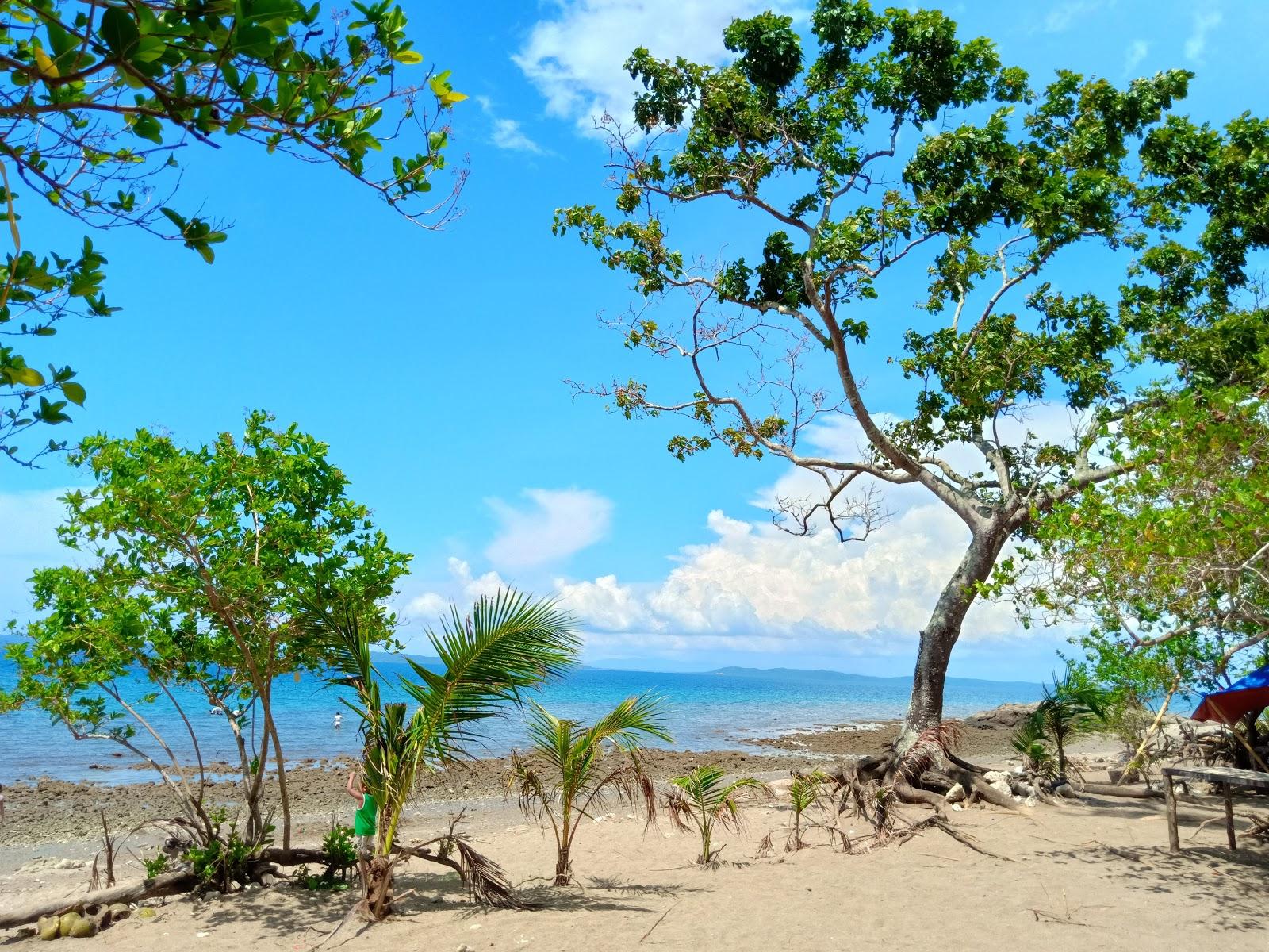 Sandee Le Beach Farm Resort