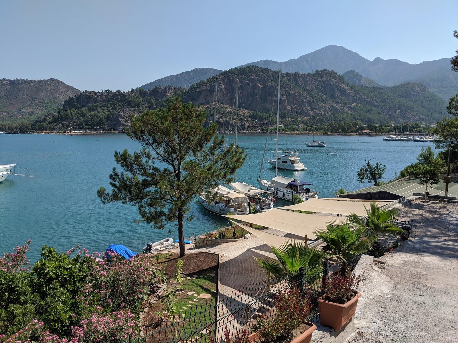 Sandee Ali's Resort Hotel Beach