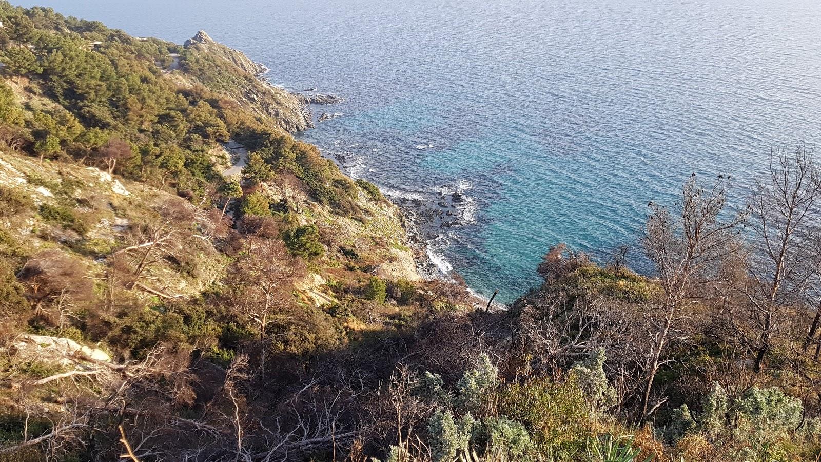 Sandee Plage Des Fouirades