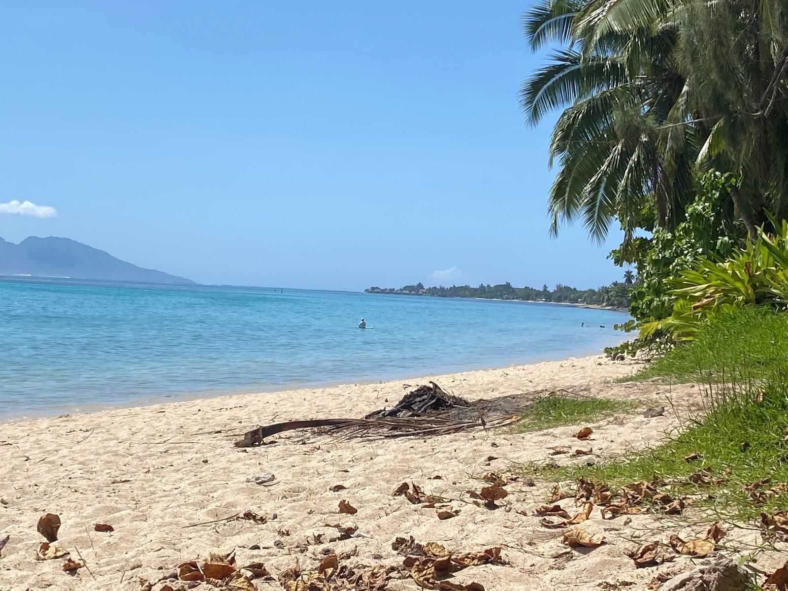 Sandee Carlton Plage