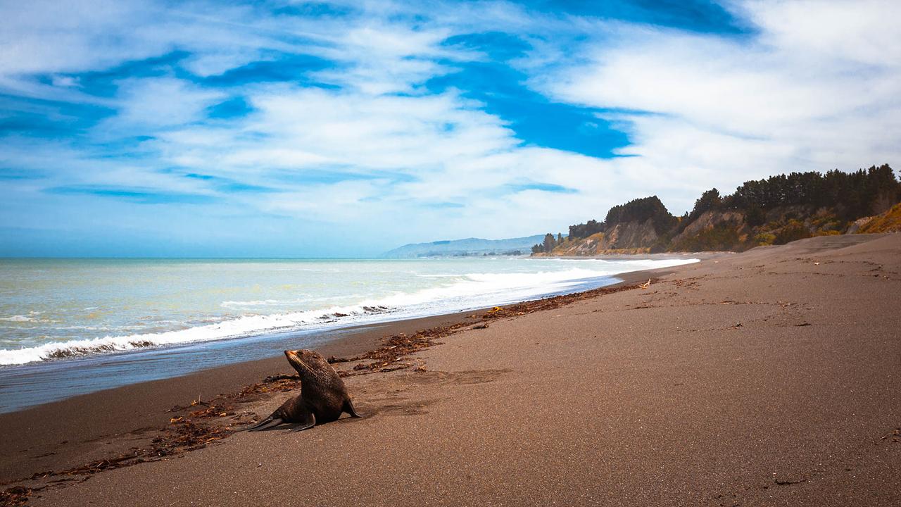 Sandee Claverley Beach