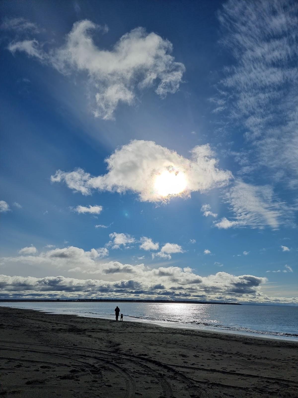Sandee Kenai Beach Dunes