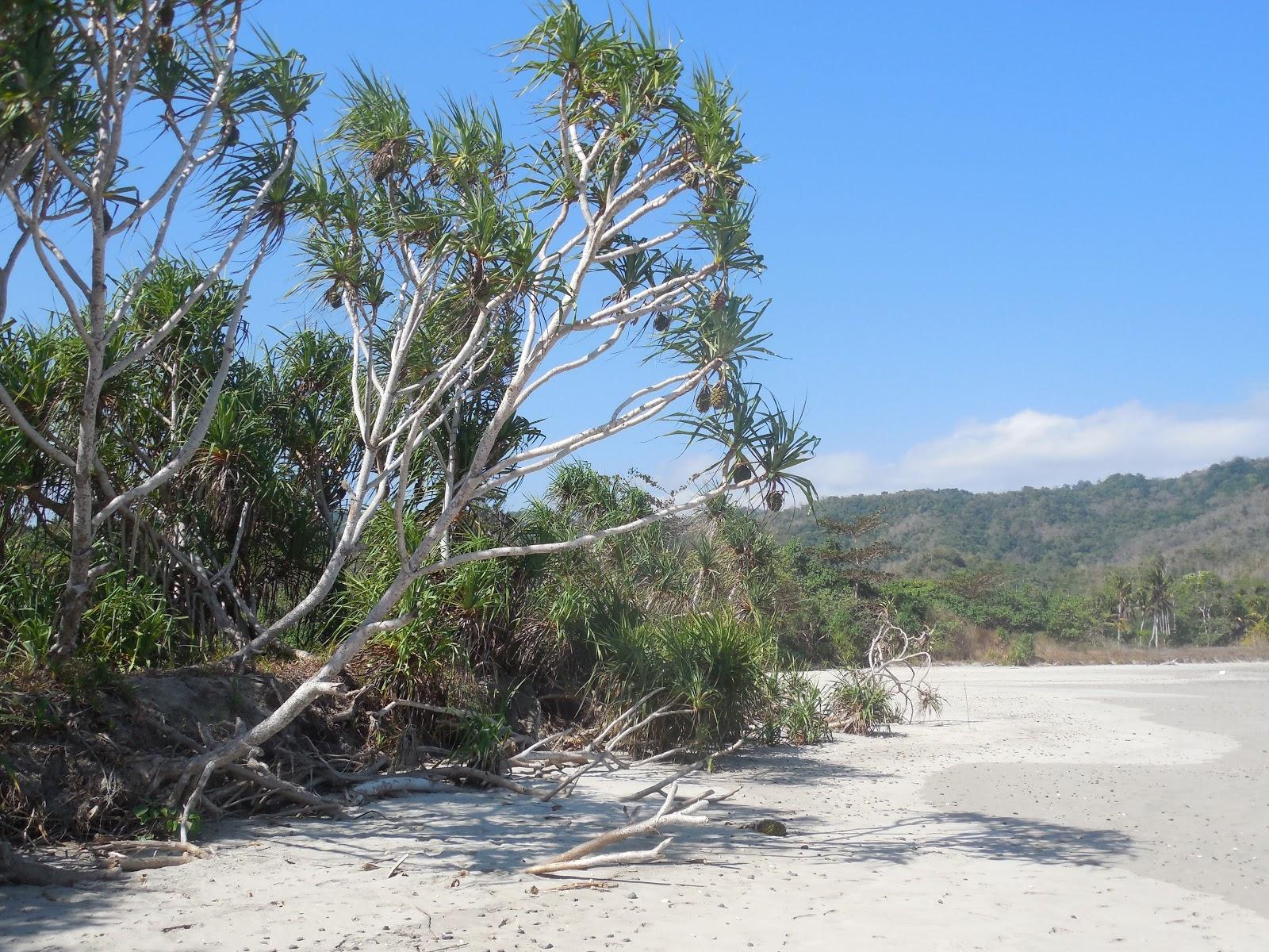 Sandee Angsana Beach