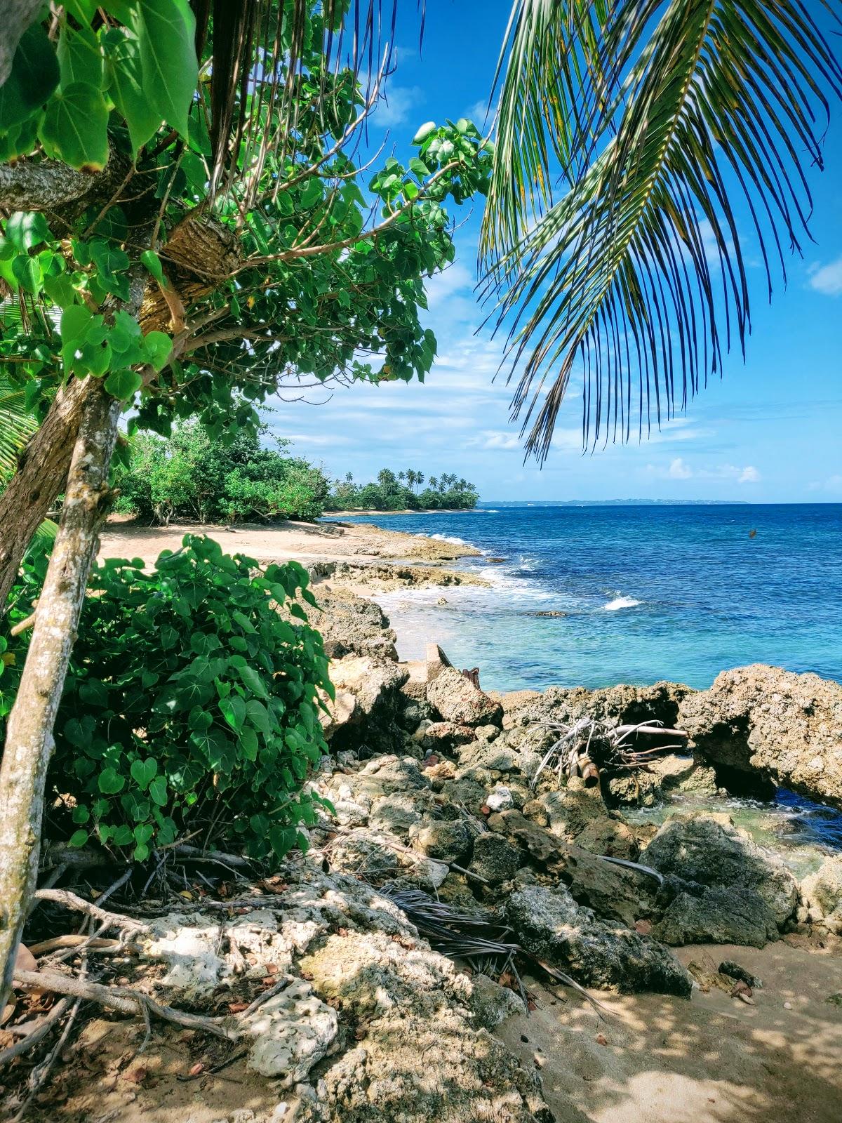 Sandee Wilderness Beach