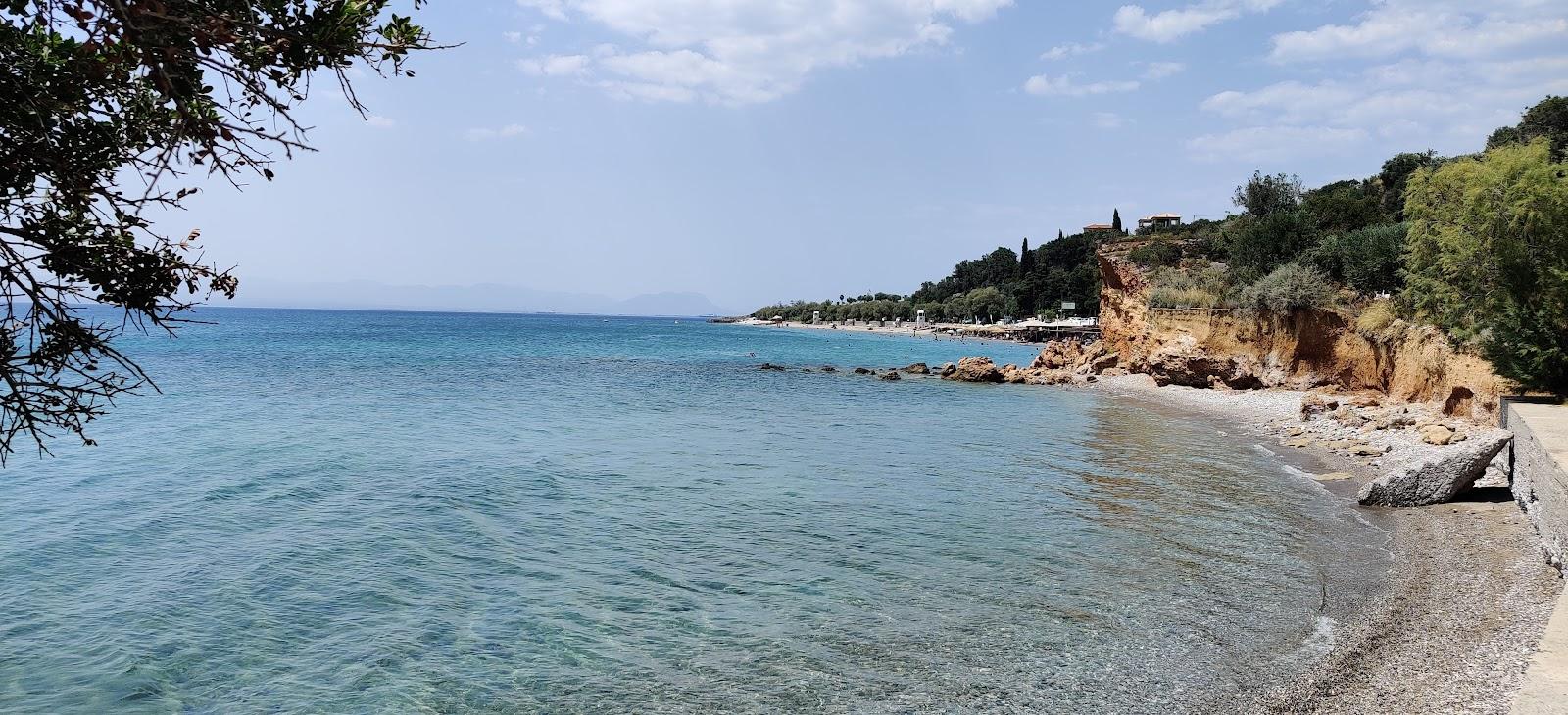 Sandee Taverna Babis