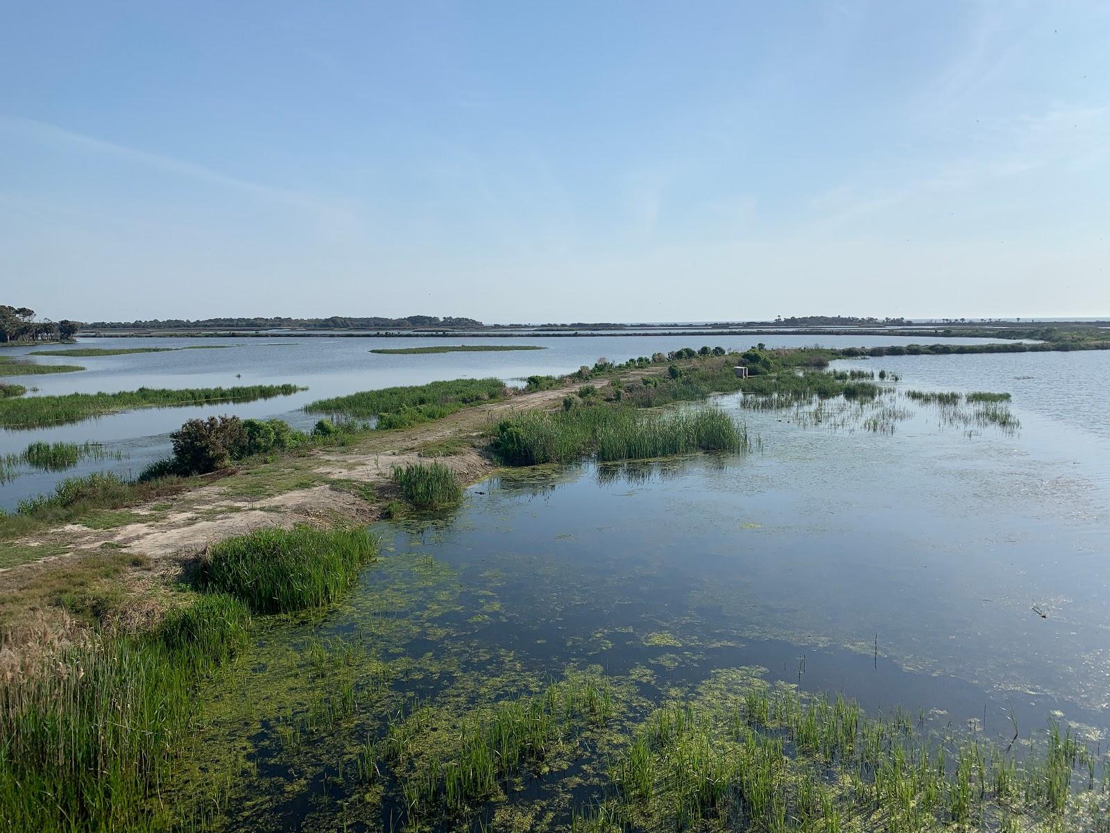 Bulls Island Photo - Sandee