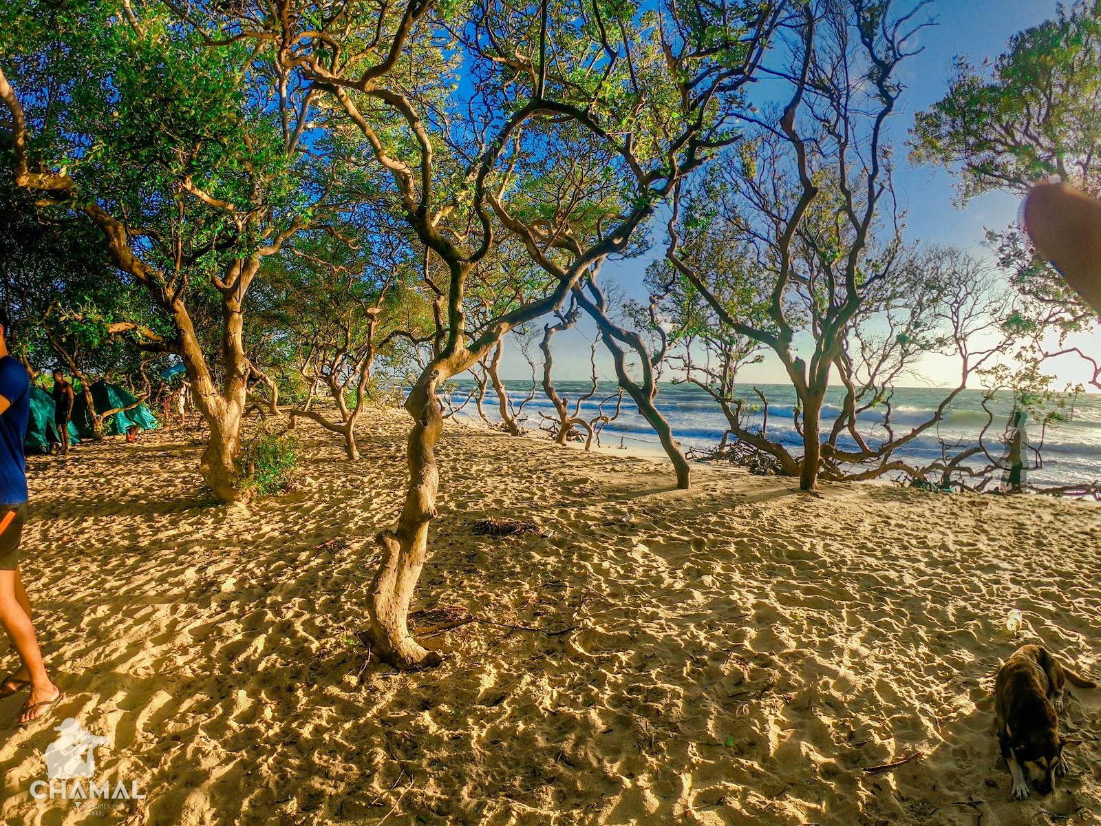 Sandee Baththalangunduwa Beach Camping