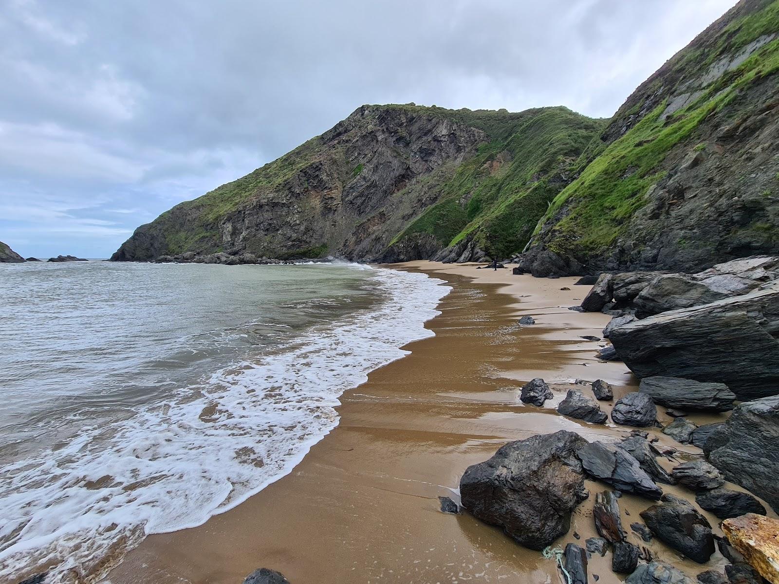 Sandee Traeth Bach