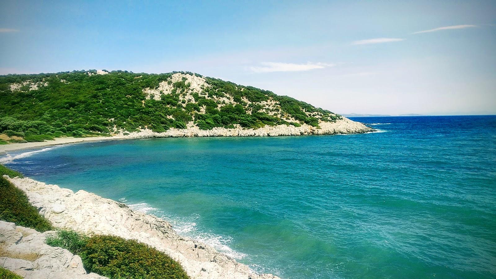 Sandee - HomePage / Zeytinler