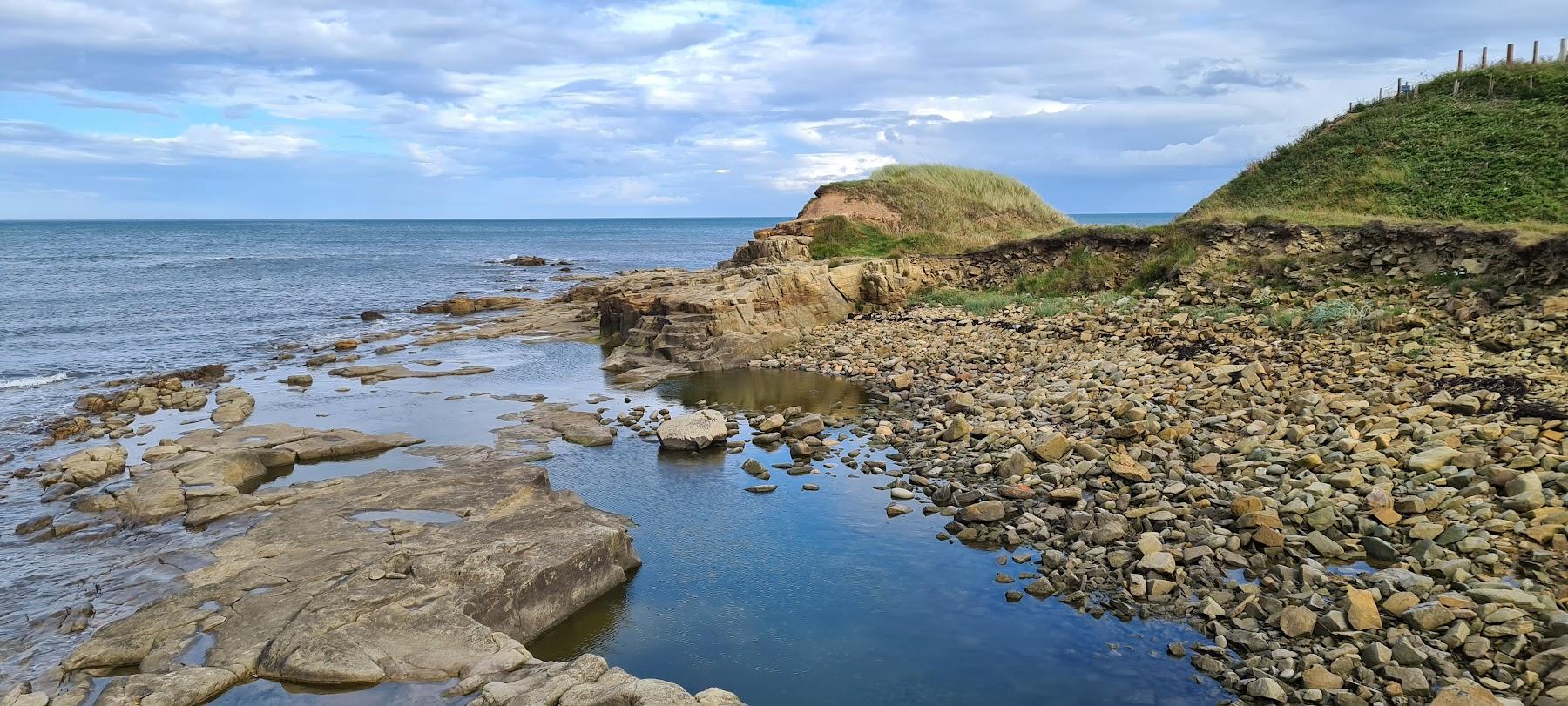 Sandee Cresswell Beach
