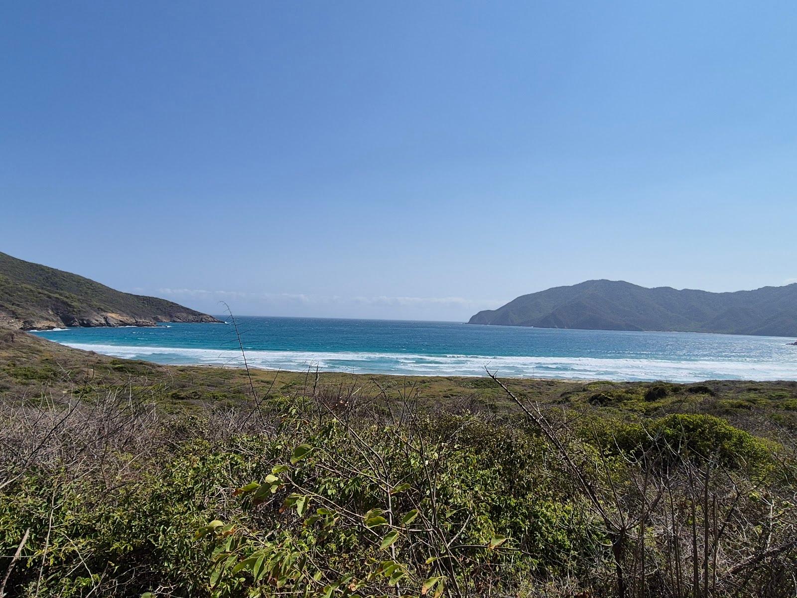 Sandee Playa Brava