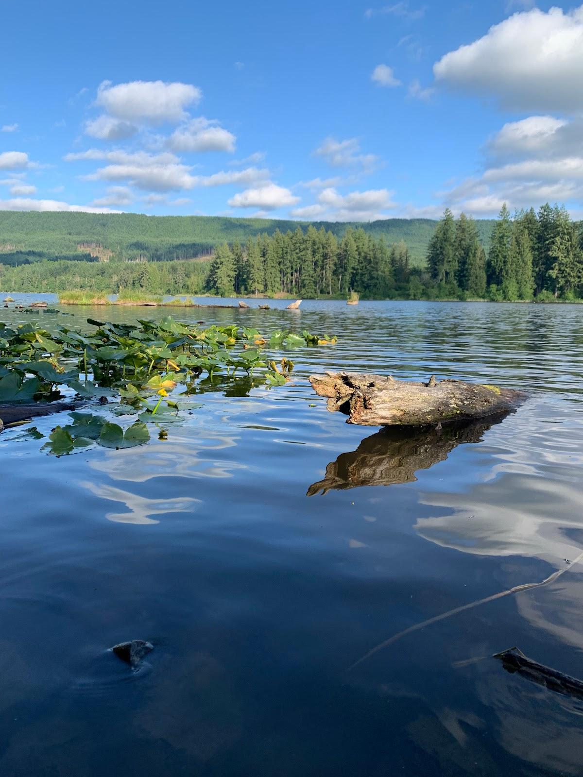 Sandee Lake Kapowsin