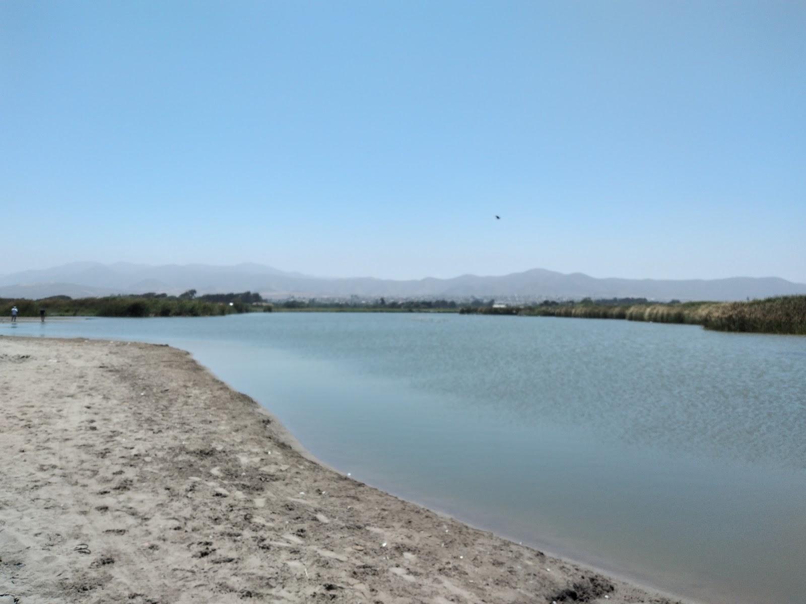 Sandee Playa Del Lapiz