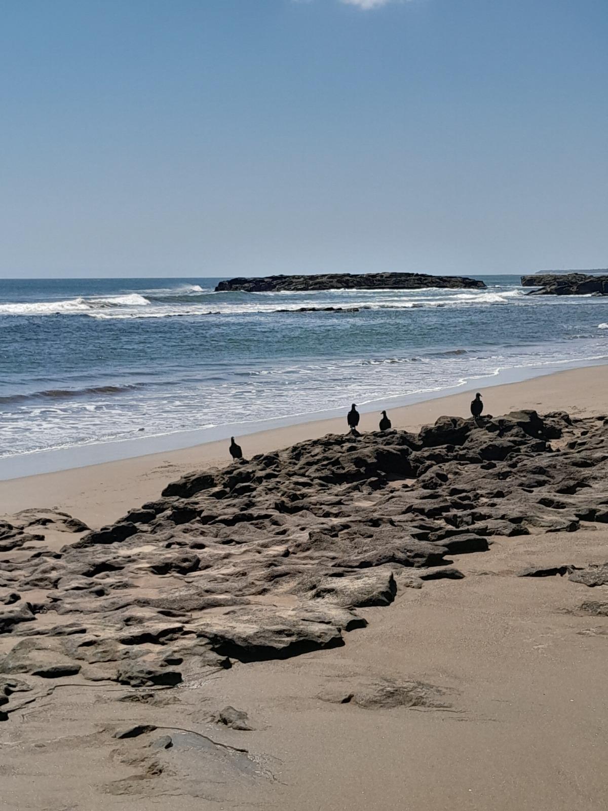 Sandee Playa Acosaco