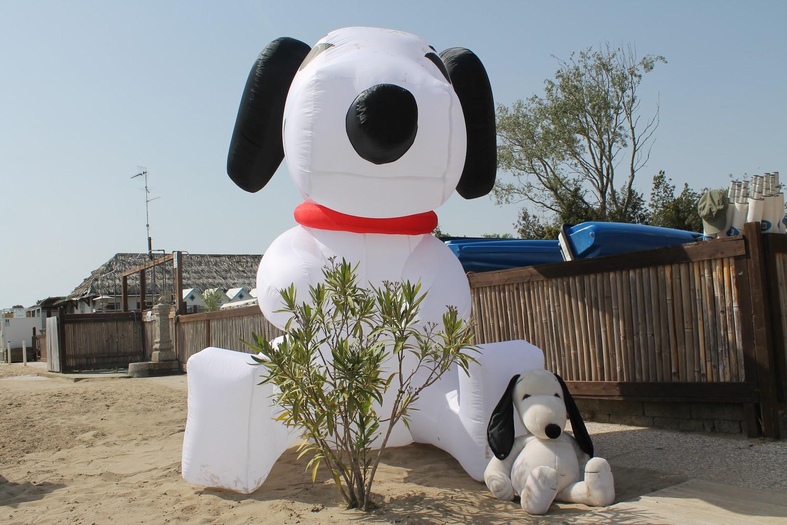 Sandee La Spiaggia Di Snoopy