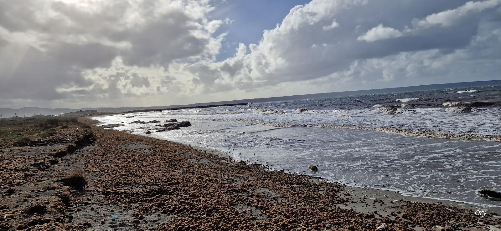 Sandee Spiaggia Di Arborea - Zona 23^