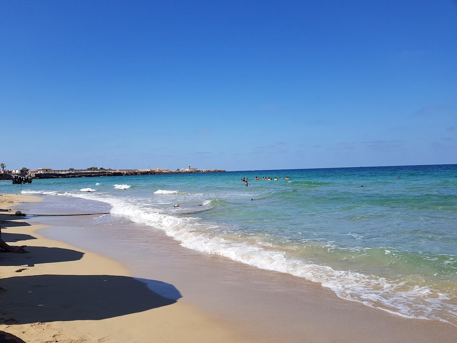 Sandee Shatby Beach