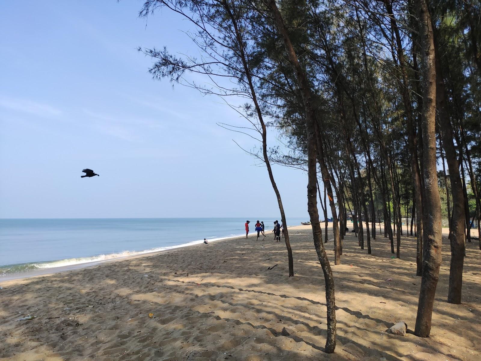 Sandee Kuzhuppilly Beach